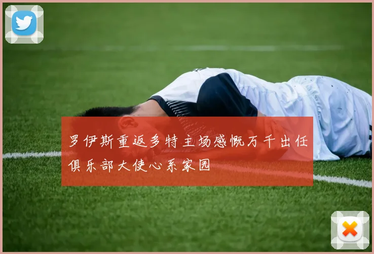 罗伊斯重返多特主场感慨万千出任俱乐部大使心系家园