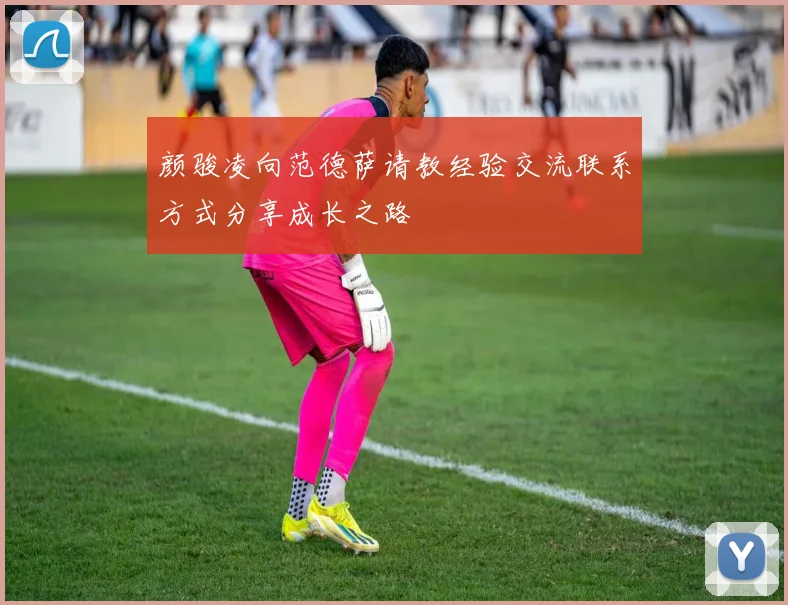 颜骏凌向范德萨请教经验交流联系方式分享成长之路
