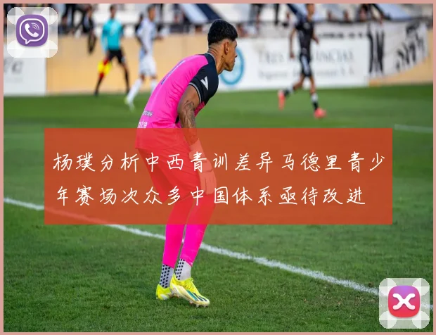 杨璞分析中西青训差异马德里青少年赛场次众多中国体系亟待改进