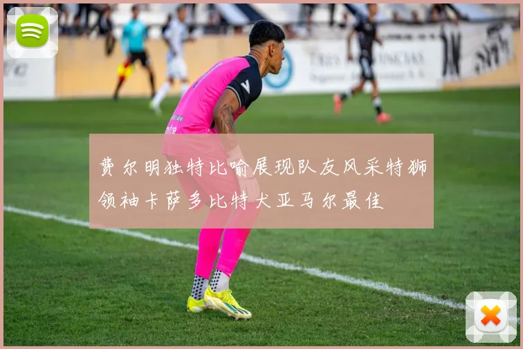 费尔明独特比喻展现队友风采特狮领袖卡萨多比特犬亚马尔最佳