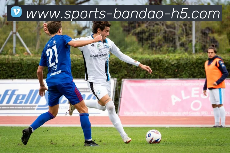 半岛体育平台生态图